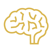 brain